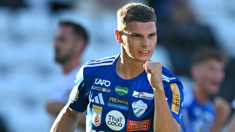 Hartberg: Havel undergoing medical - Disappointment over transfer fee?