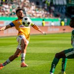 Future secured! Two internationals remain at SV Ried