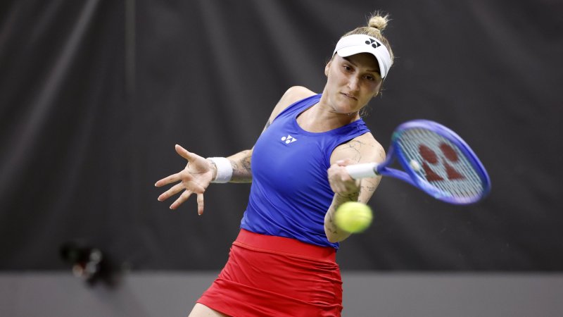 Vondrousova after Doping Ban: "They Destroy Human Lives"