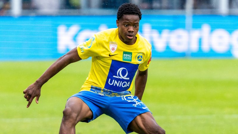 Sturm signs Vienna youngster