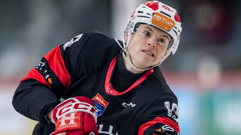 How Three Austrian Talents Landed in Quebec