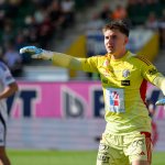 Nikolas Polster: WAC denies inquiries