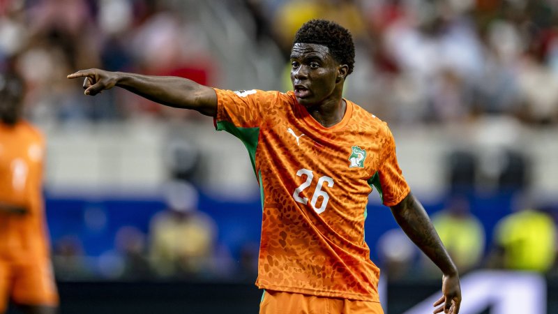 AC Fiorentina signs Ivorian World Cup player