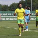 SW Bregenz signs player from Norwich City