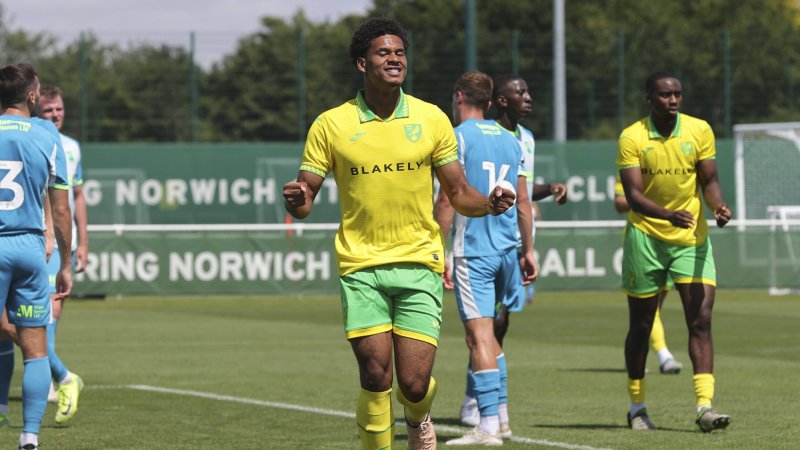 SW Bregenz signs player from Norwich City