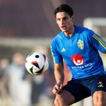Rapid reportedly in talks with one-time Swedish international