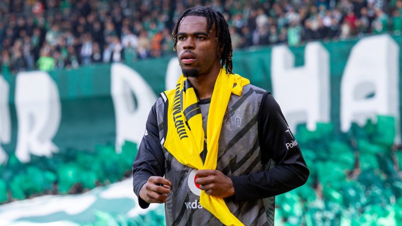 Austrian international sidelined at BVB after international break