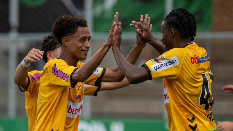 "We're in this together" - Ried coach backs VAR
