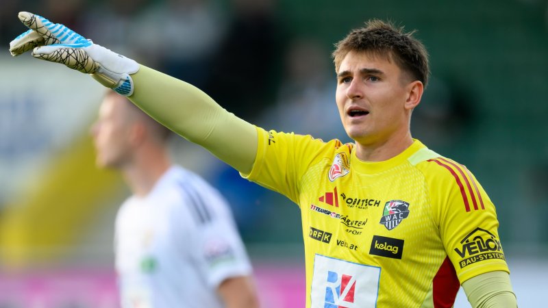 Transfer Update: What's Next for Polster?