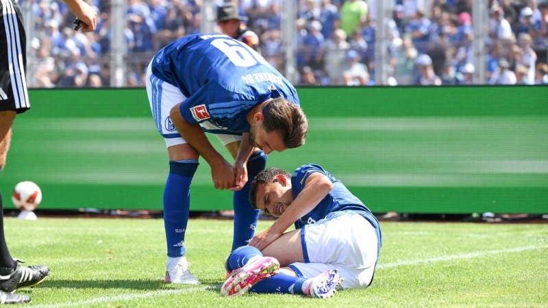 Austrian international in S04 spotlight: Adamu scores, Ljubicic forced off