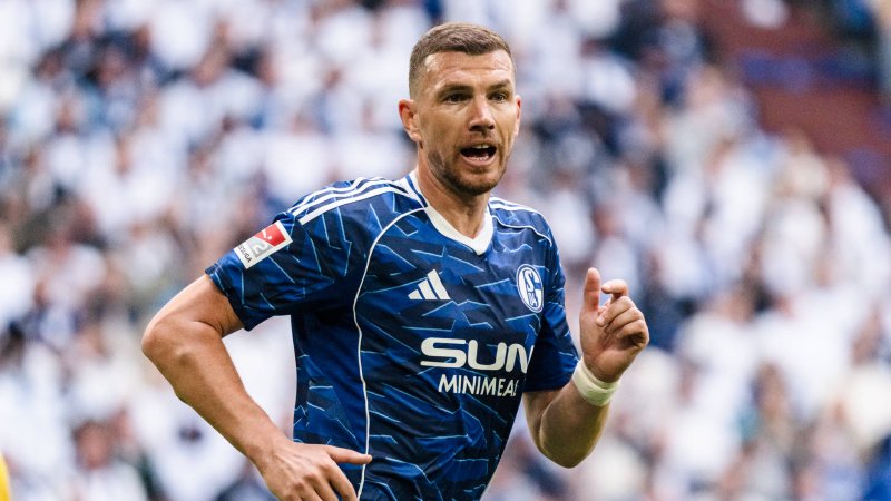 Veteran Striker Extends Contract with Promoted Schalke 04