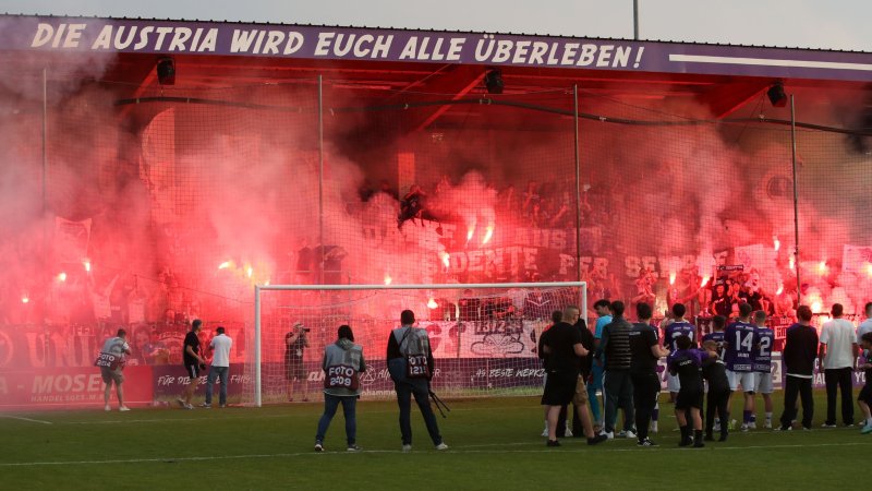 Curious Board Sponsor for Austria Salzburg