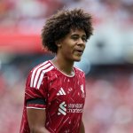 Virgil van Dijk on Austrian prospect Ndukwe: "A great talent"