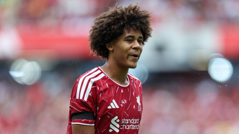 Virgil van Dijk on Austrian prospect Ndukwe: "A great talent"