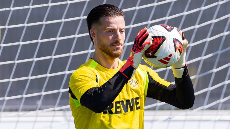 Goalkeeper at BVB Sidelined