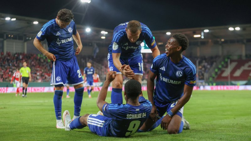 Two Austrian internationals score! Schalke struggles into the next cup round