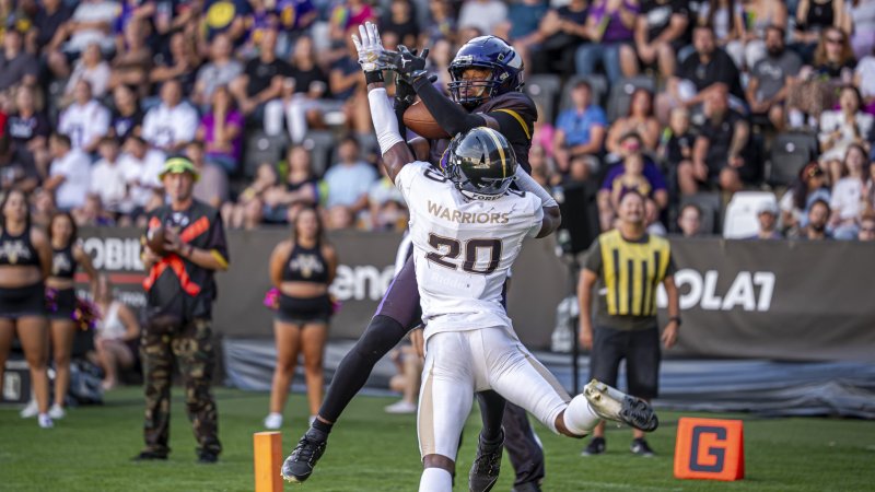 Vienna Vikings Reach AFLE Final!