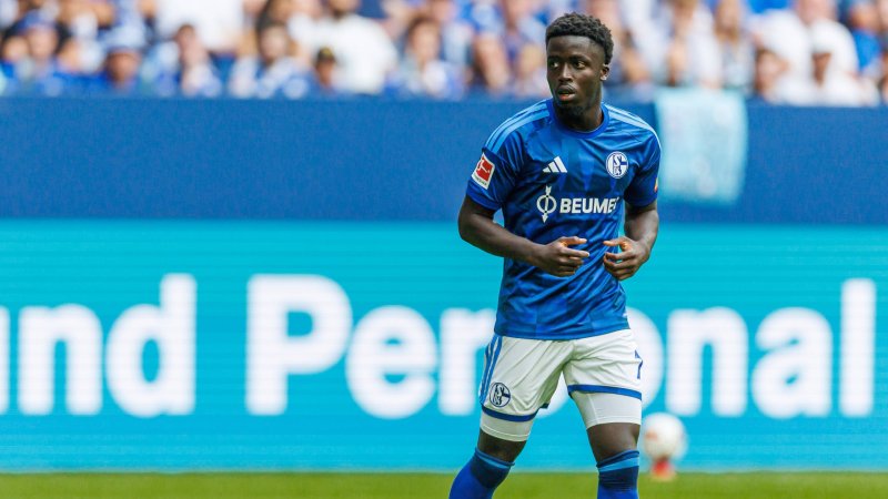 Positional competitor of Austrian international leaves Schalke on loan