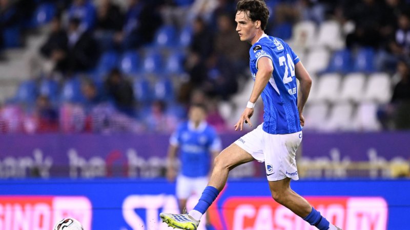 Sattlberger could replace Amane at Rapid
