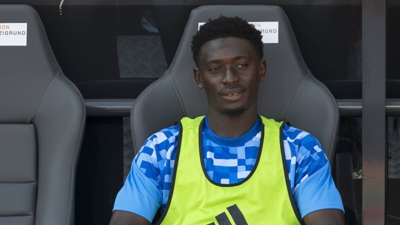 From Switzerland: Bundesliga Club Snaps Up Former Amstetten Player
