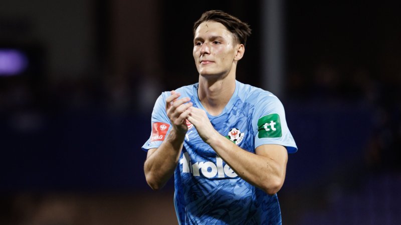 ÖFB loses goalkeeper Hamzic to Bosnia
