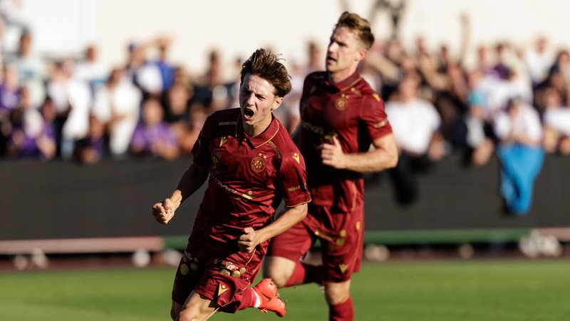 Austria achieves desired success in Cup