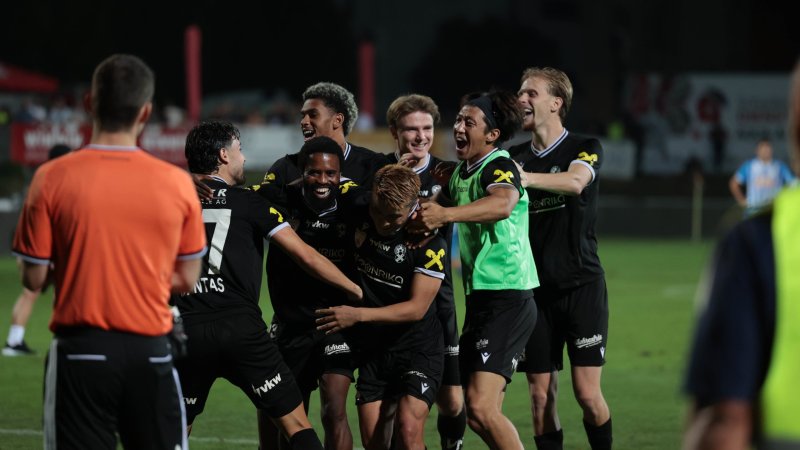 "Anything is possible": SW Bregenz hopes for Cup revenge against Salzburg