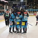 Black Wings Linz: How well will the overhaul work?