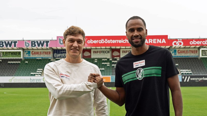 Ried signs former Swedish international striker
