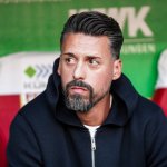 New coach for Austrian international: Second-tier club close to surprise coup