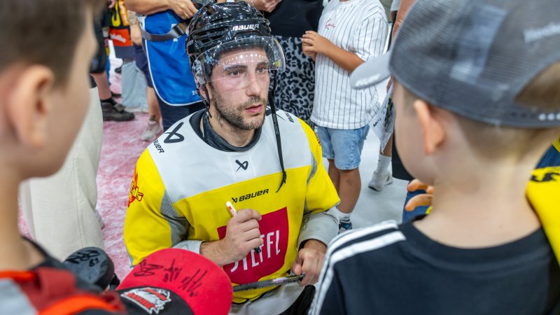 Komarek: "I absolutely wanted to play in Vienna, nowhere else"