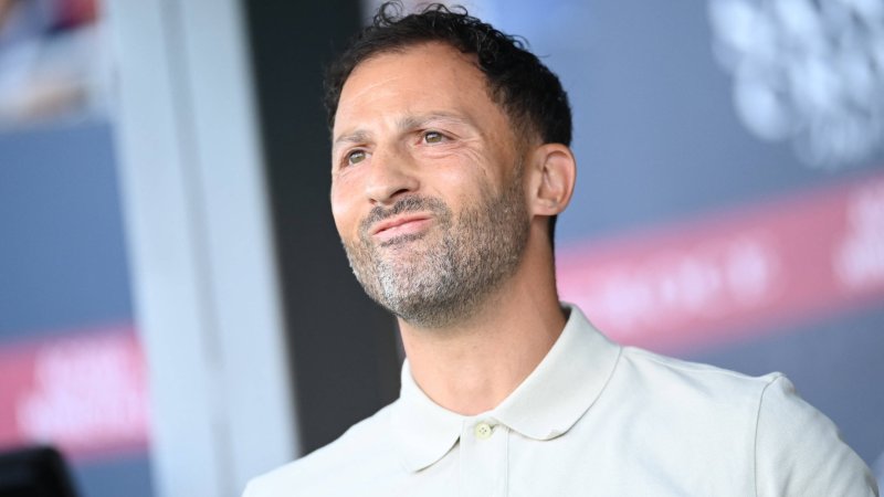 Ex-Schalke coach dismissed: Serie A club pulls the plug