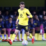 Relief for BVB fans: New signing back in training
