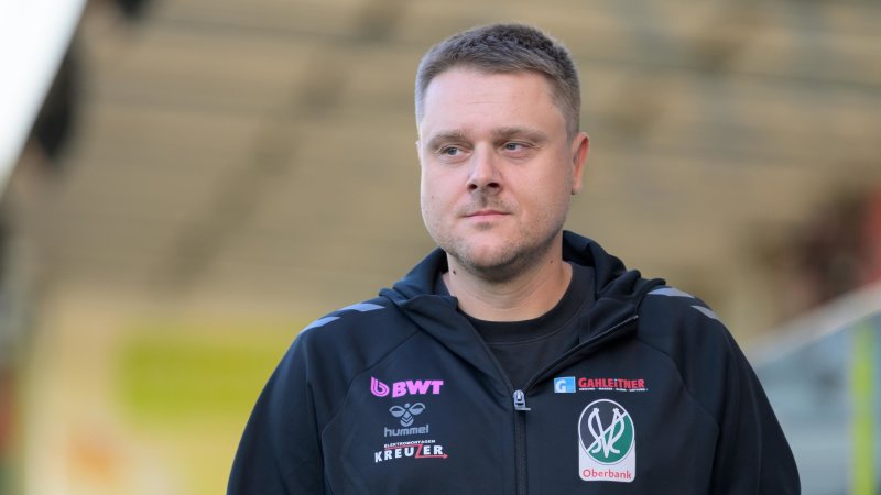 Debut for new signing Thelin? Despotovic says...
