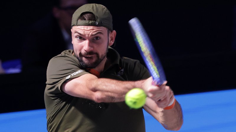 Wildcard! Davis Cup Hero to Play in Vienna
