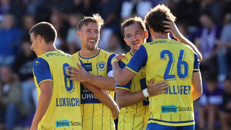 Friendly Match Win: Vienna defeats Ilzer's Hoffenheim