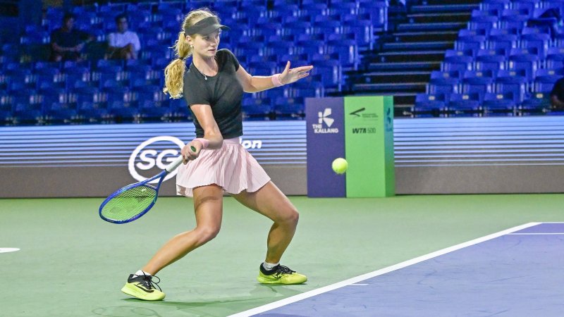Concussion or Not? Tennis Player Criticizes WTA