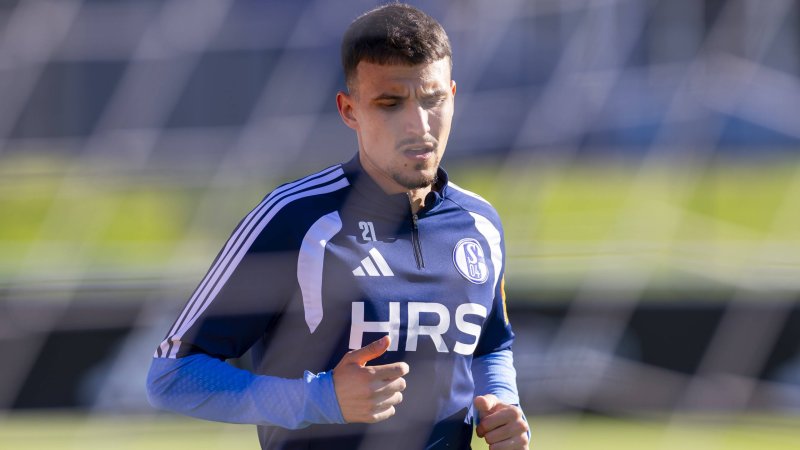 Schalke 04: Muslic Welcomes ÖFB Player Ljubicic Back on the Pitch