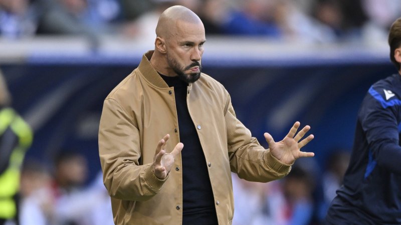 Only 17th in the Table: Misery at Hoffenheim