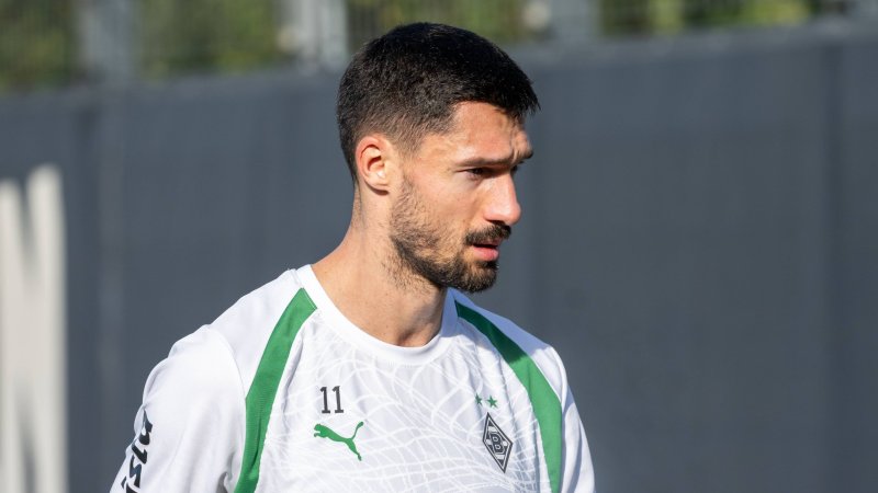 Setback for Stöger's club: Captain out against Ilzer's Hoffenheim