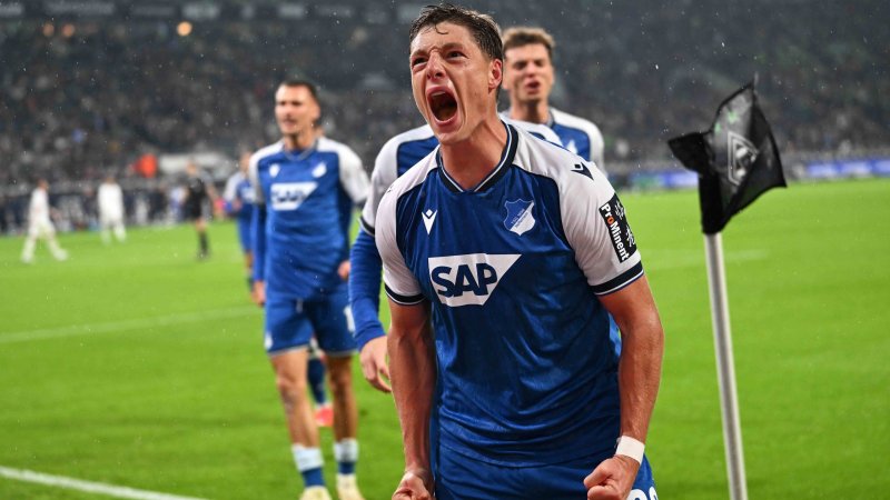 Prass shoots Hoffenheim to victory in relegation battle