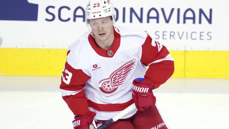 Without Kasper: Detroit Red Wings win in shootout against Oilers