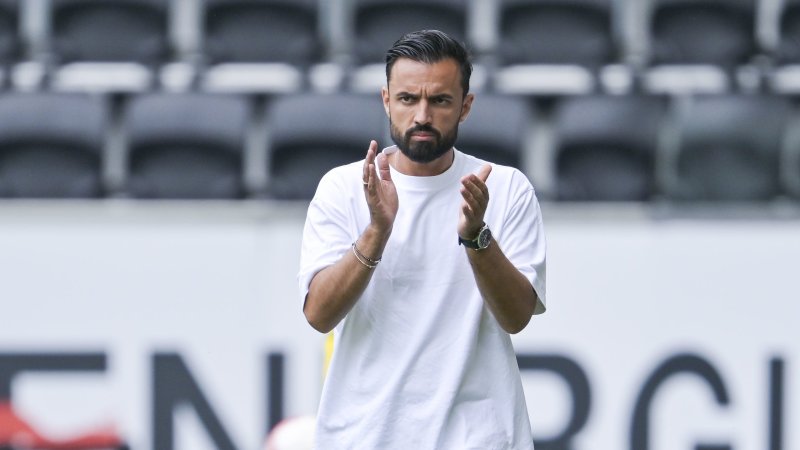 Former Vienna Coach Joins Partizan Belgrade
