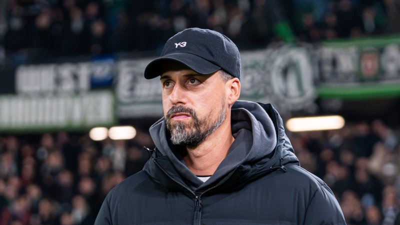 Despite Poor Start: Sandro Wagner Receives Backing